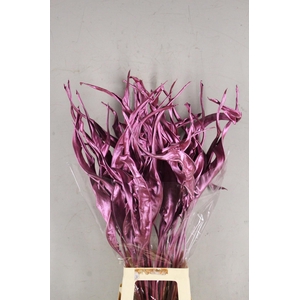 DF Strelitzia Leaf Metal Pink