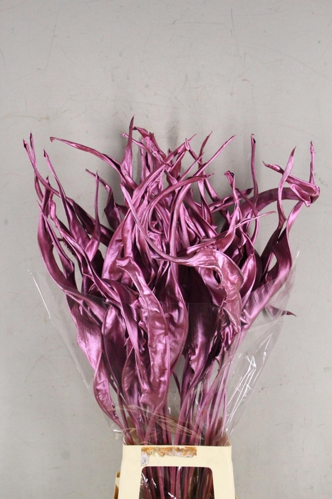<h4>DF Strelitzia Leaf Metal Pink</h4>