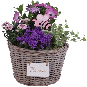 Spring Flower Arr. Outdoor Willow Basket Flowersign Ø27cm 4PP