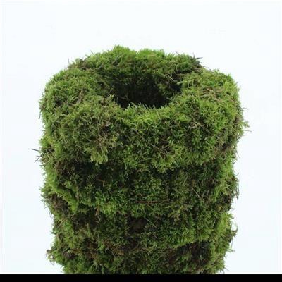 <h4>KRANS MOS H% 30 CM</h4>