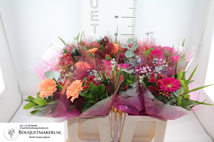 <h4>GEM BOEKET OV</h4>