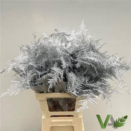 <h4>Asp Ov Klb H%</h4>