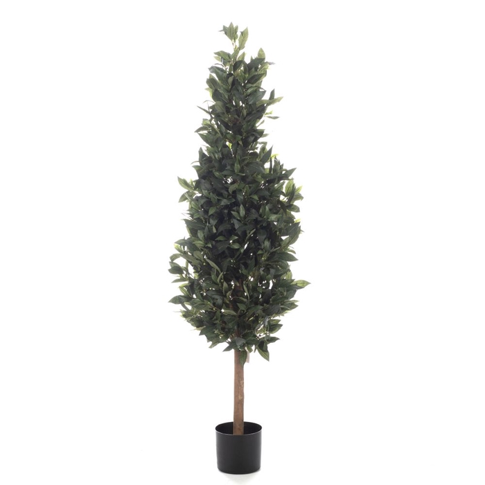 <h4>Af Laurus Nobilis Pot H150cm G</h4>