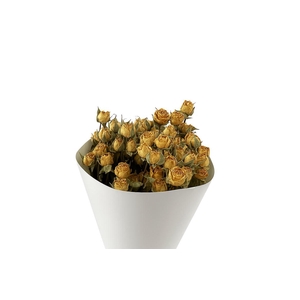 Dried Roses Spray Yellow 100gr Bunch