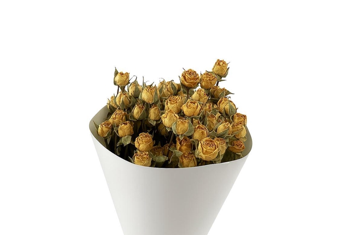 <h4>Dried Roses Spray Yellow 100gr Bunch</h4>
