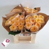 Rosa Garden Vuvuzela Golden