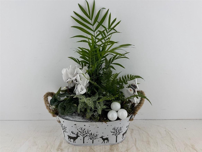 <h4>Arr (6) Zink Ovaal Met Hert</h4>