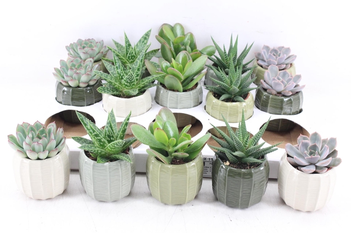 <h4>arr3 OV - Ker. Helsinki x15</h4>