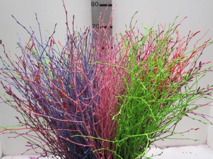 <h4>Berk Mix L60</h4>