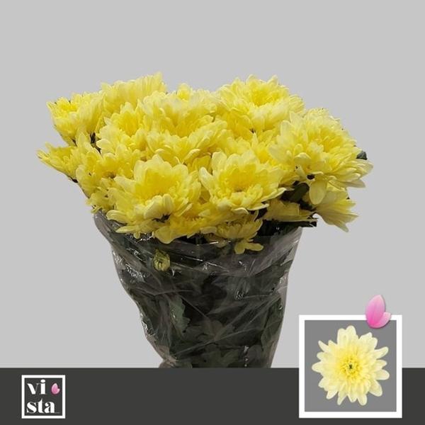 <h4>CHR T BALTICA CREAM</h4>