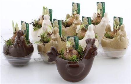 <h4>Arr N Tete A Tete</h4>