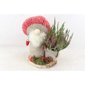 arr4 Outdoor JS - Paddenstoel gnome x3 op schijf