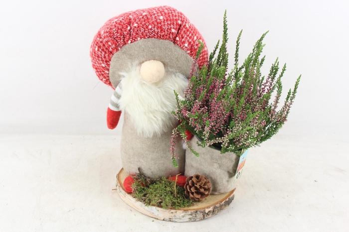 <h4>arr4 Outdoor JS - Paddenstoel gnome x3 op schijf</h4>