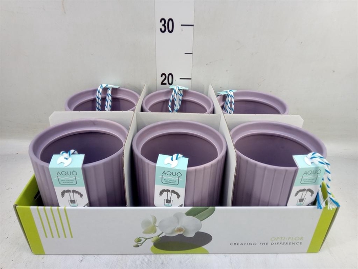 <h4>Pot   ...Keramische H%</h4>