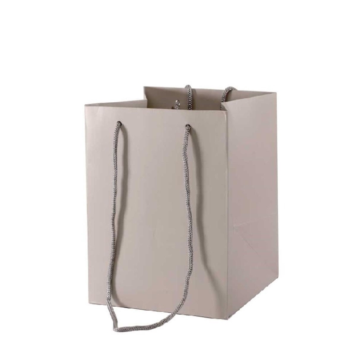 <h4>Bags Olympic 25*18*18cm</h4>