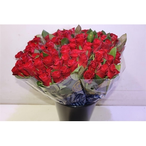 R Gr Red Tacazzi+ X10