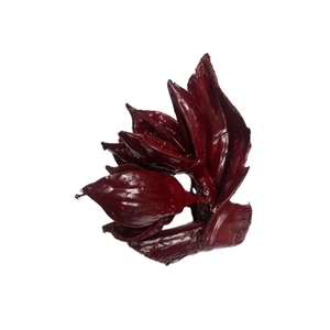 Waxed Seafruit Bordeaux