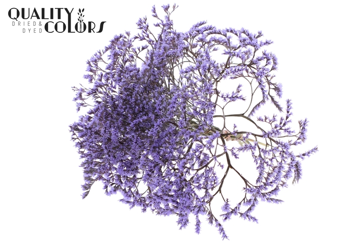 <h4>Limonium Tataricum per bunch Milka</h4>
