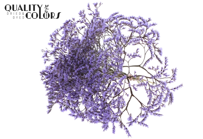 <h4>Limonium Tataricum per bunch Milka</h4>