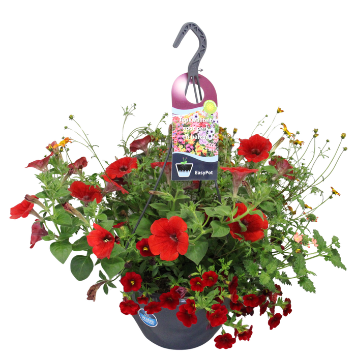 <h4>'Weekaanbieding; Hangpotten 27 waterreservoir Mix 05 Oranje/rode mix</h4>