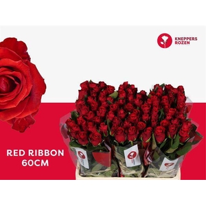 R GR RED RIBBON