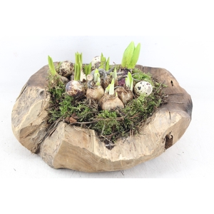 arr4 Bolenmix MB - Teak schaal Los