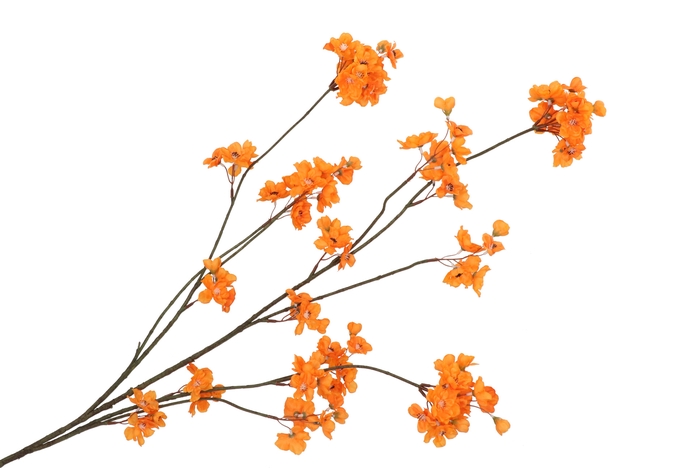 Silk Cherry Blossom Orange 126cm Nm