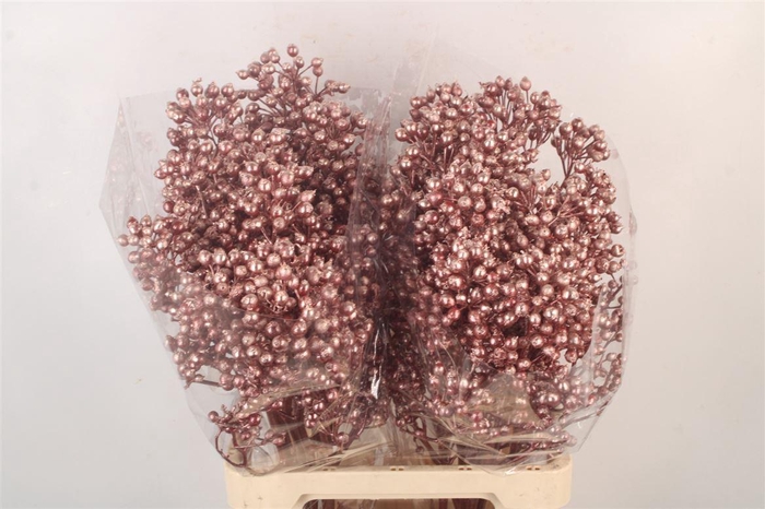 <h4>ROSA KLB METALLIC RED H%*</h4>