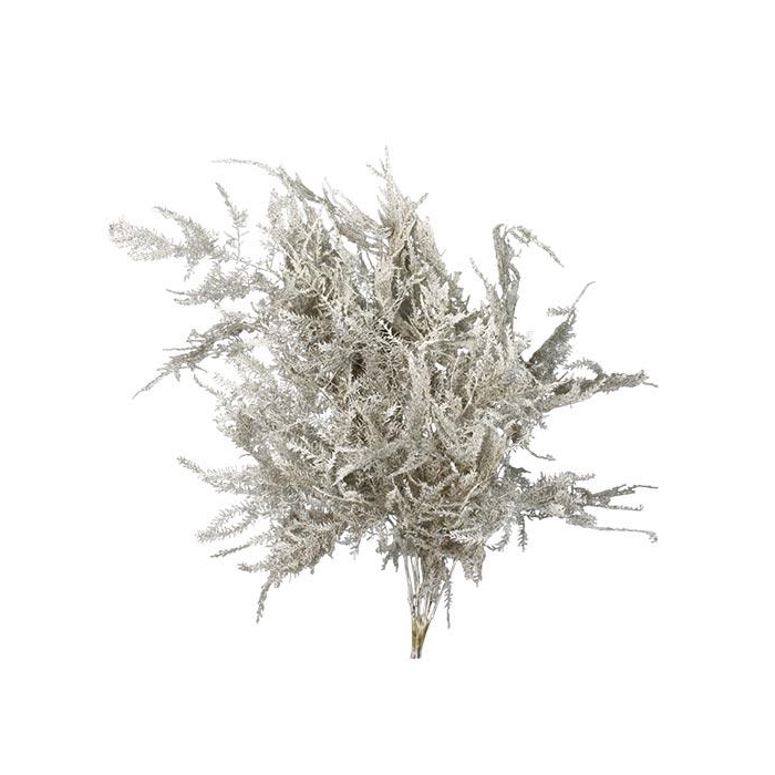 <h4>Bunch Asparagus 10pcs Pres.Slv L40</h4>