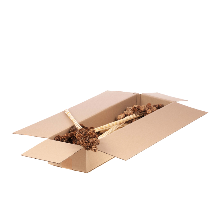 <h4>Omerica Cone 3pc O/s 10pc Sb Natural</h4>