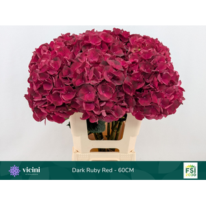 Dark Ruby Red - 60CM