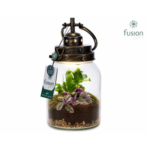 Glazen LEDlamp met arrangement