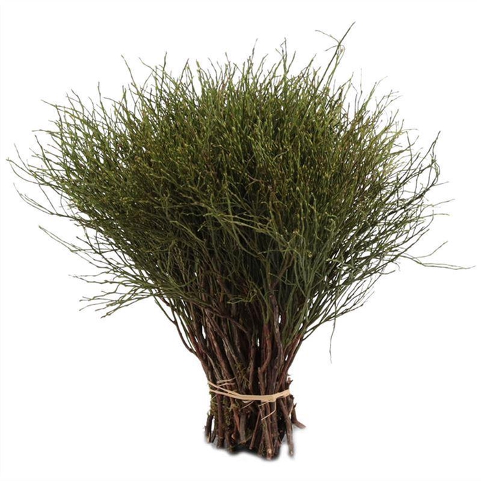 <h4>Heidelbeer Per Tak</h4>