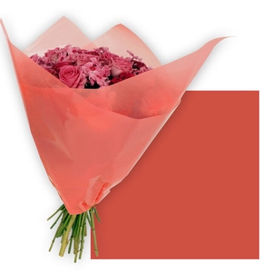 Vellen 80x80cm OPP50 Frost rood