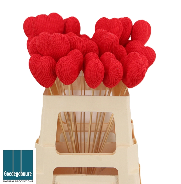 <h4>HARTJE OP STOK H%</h4>