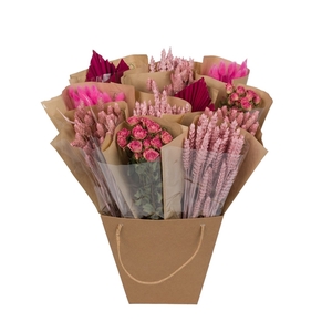 Droogbloemen-Dried Mono Mix 50cm-Pink