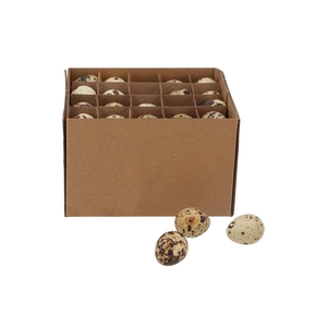 Eggs Quail Natural 2.5x3.5cm P/60