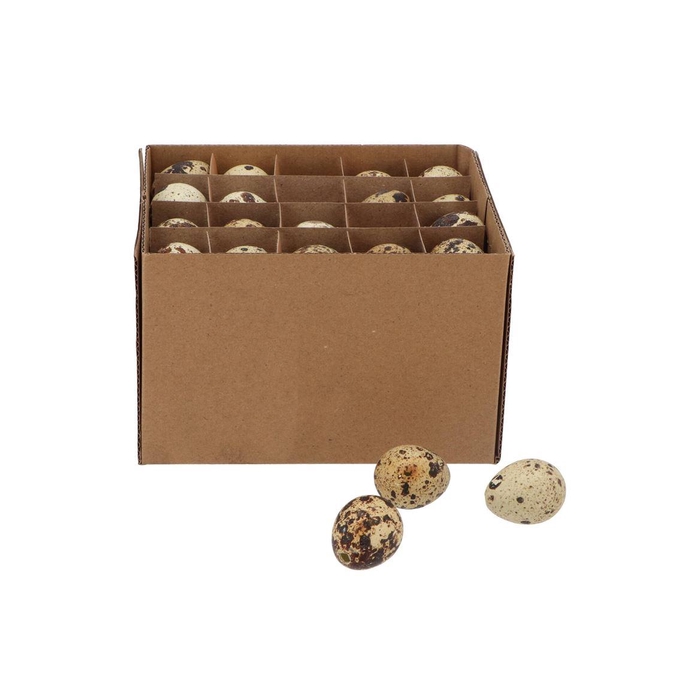 <h4>Eggs Quail Natural 2.5x3.5cm P/60</h4>