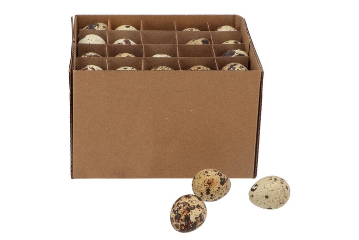 Eggs Quail Natural 2.5x3.5cm P/60