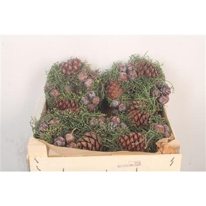 Krans Adv Cone Mix 6 15cm