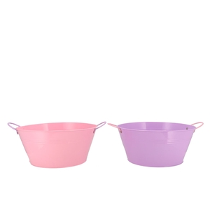 Zinc Basic Lila/pink Ears Bowl 30x14cm