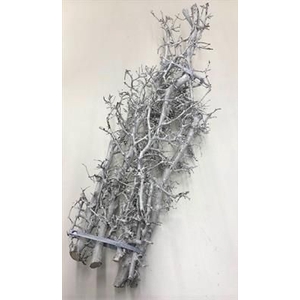 DROOG BONSAIHOUT WIT KIST