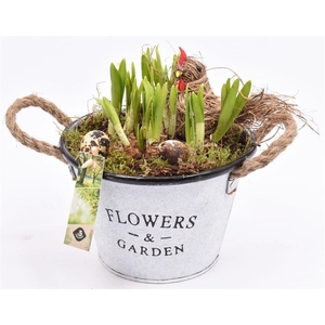 Zink teil Flowers & Garden 18cm