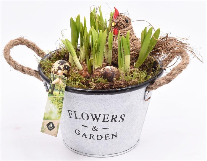 <h4>Zink teil Flowers & Garden 18cm</h4>