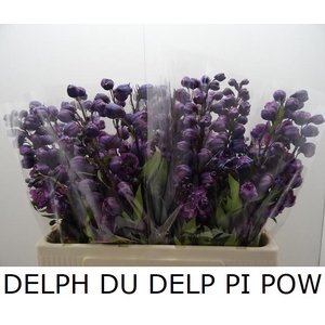 DELPH DU DELP PI POW