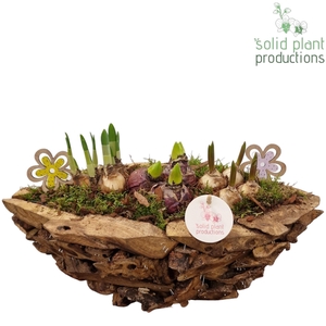 DBBM012 Driftwood Boat Bolmix