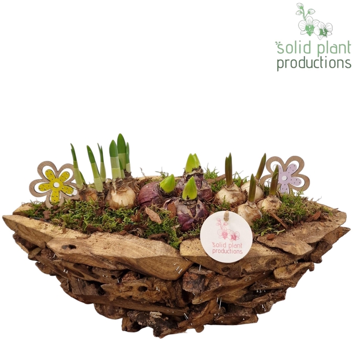 <h4>DBBM012 Driftwood Boat Bolmix</h4>