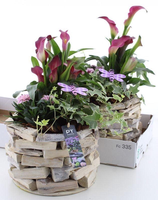 <h4>ARR TUINPLANTEN</h4>