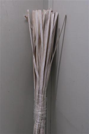 <h4>Houtband Frosted Wit</h4>