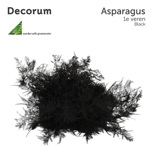 ASP 1e veren Black 45cm box x50